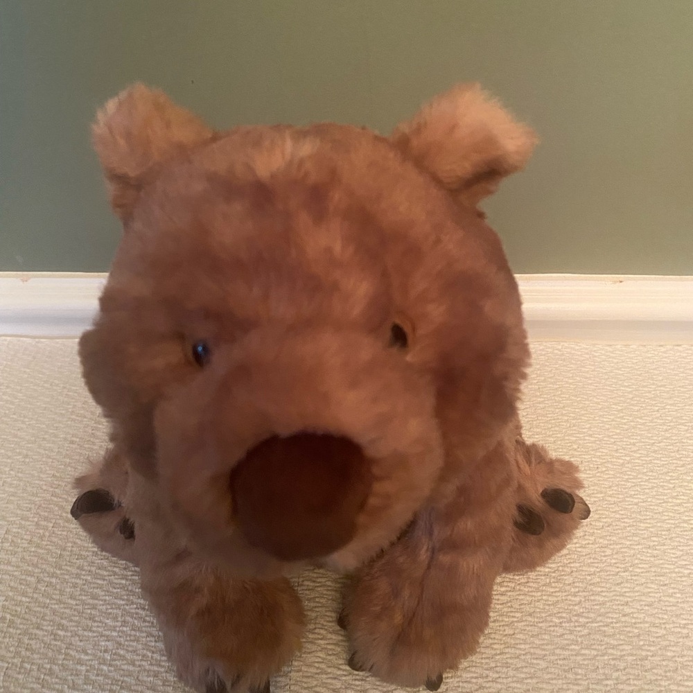 Jellycat Wonda Wombat